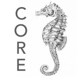 Core Inspections